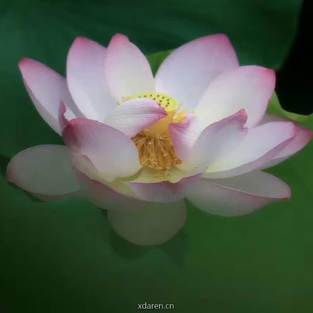 风动幡动还是心动