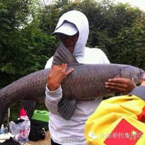 钓技大本营