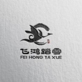 飞鸿踏雪辩论队