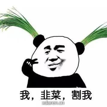 投资韭菜狗哥