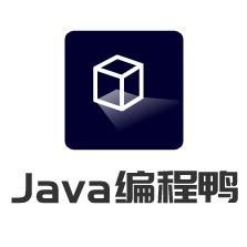 Java编程鸭