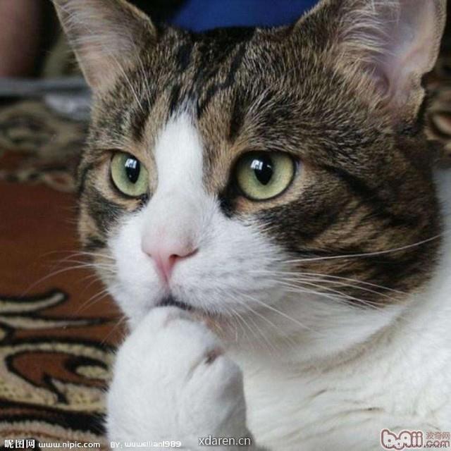 百味朱砂之文学与婚恋