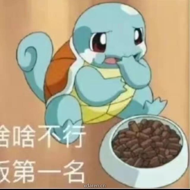 程序员乐子