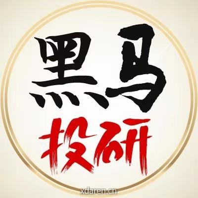 黑马投研
