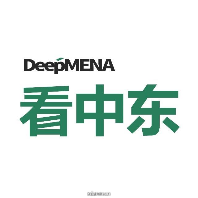 看中东 DeepMENA