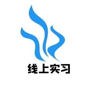 线上实习