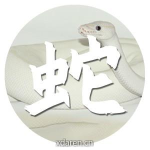 生肖蛇运势天天看