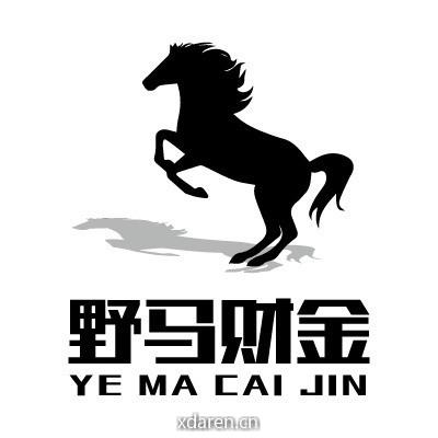 野马财金