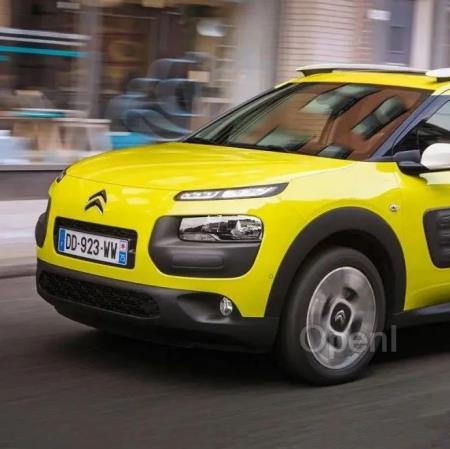 法国人都开什么车？