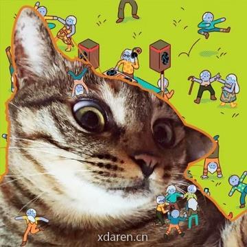 狸猫之一的动物圈