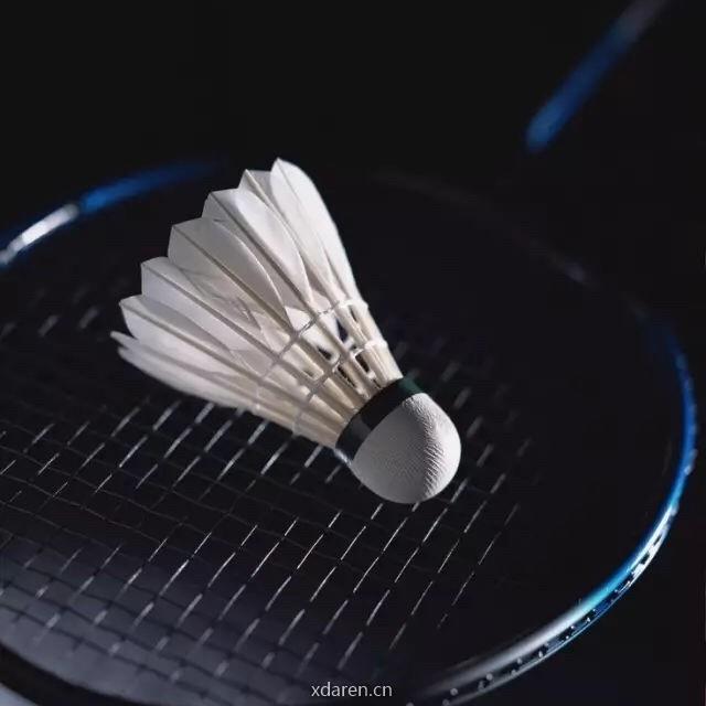 羽毛球精彩视频