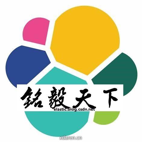 铭毅天下Elasticsearch