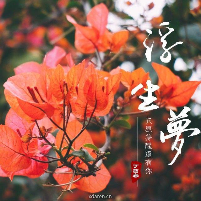 拍打大健康平台