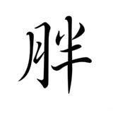胖编