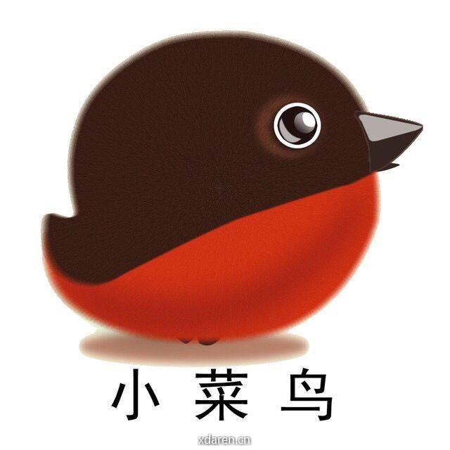 程序员强哥