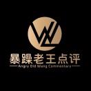 暴躁老王点评