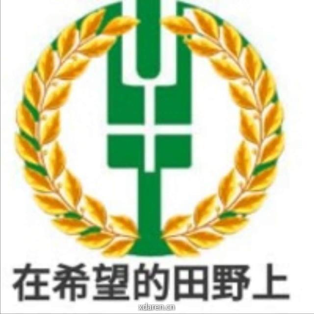 在希望的田野上