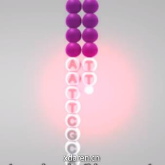 pythonic生物人