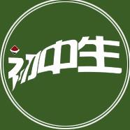 初中生