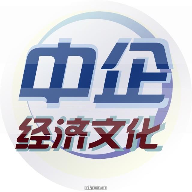 中企经济文化