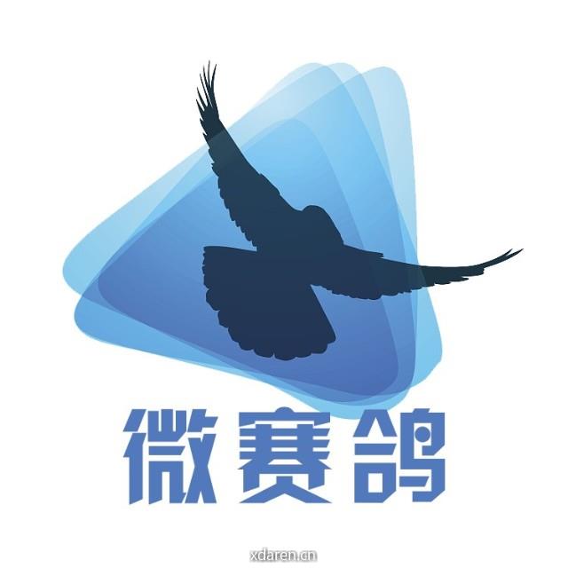 微赛鸽