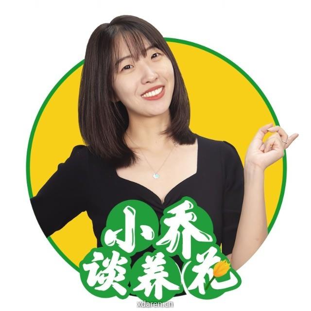 小乔谈养花