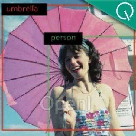 开放域检测新SOTA!中山大学美团出品,开源性能最强