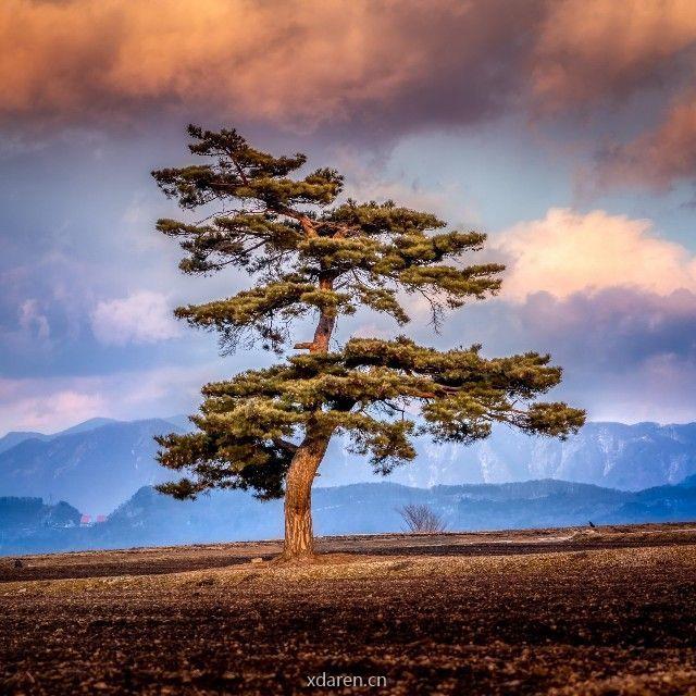 环境生态系统工程