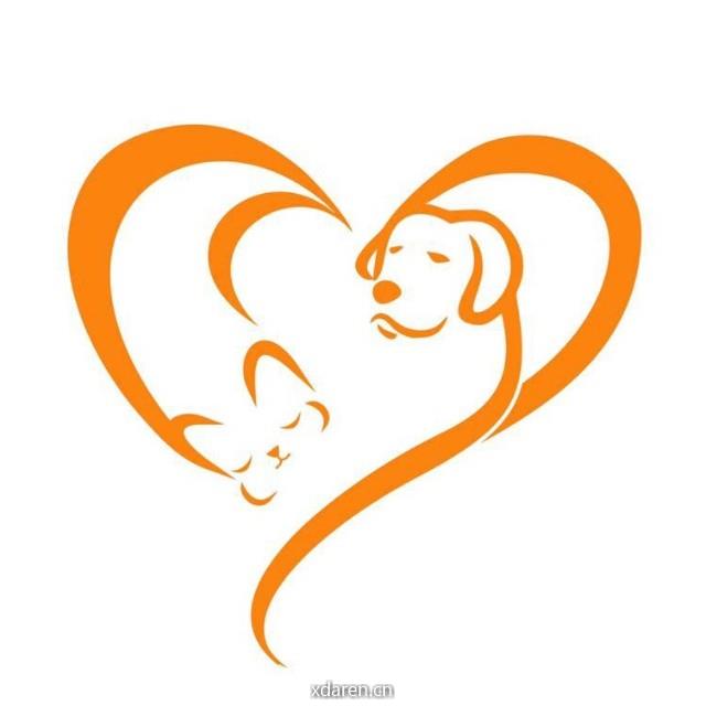 济南伴侣动物领养日