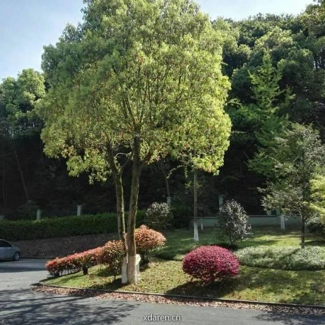 执破汇