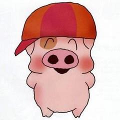 畜牧健康养殖平台