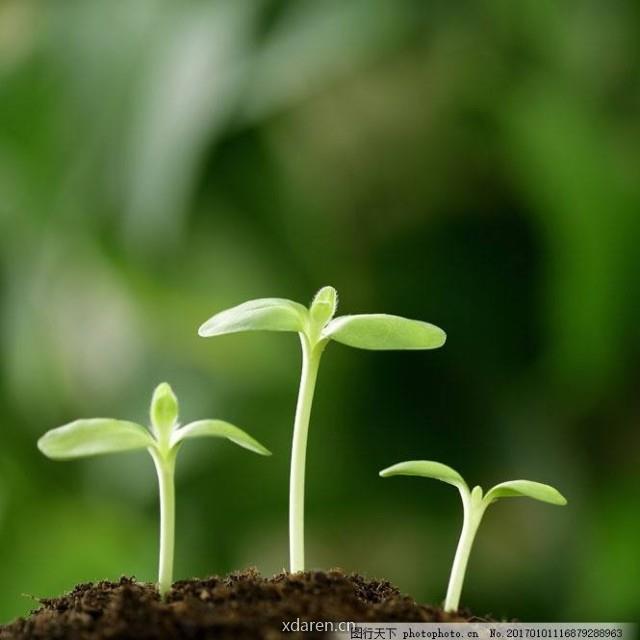 初中英语教与学