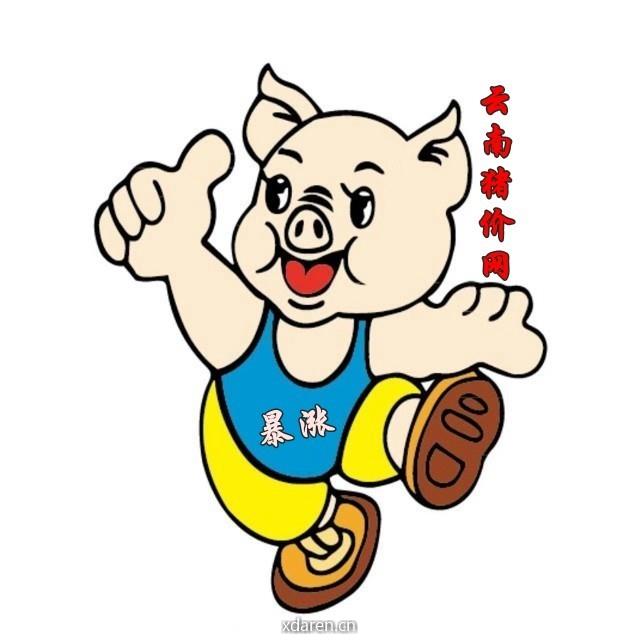 云南猪价网