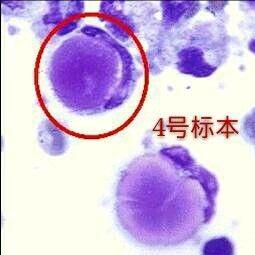 医学检验在线clinlab