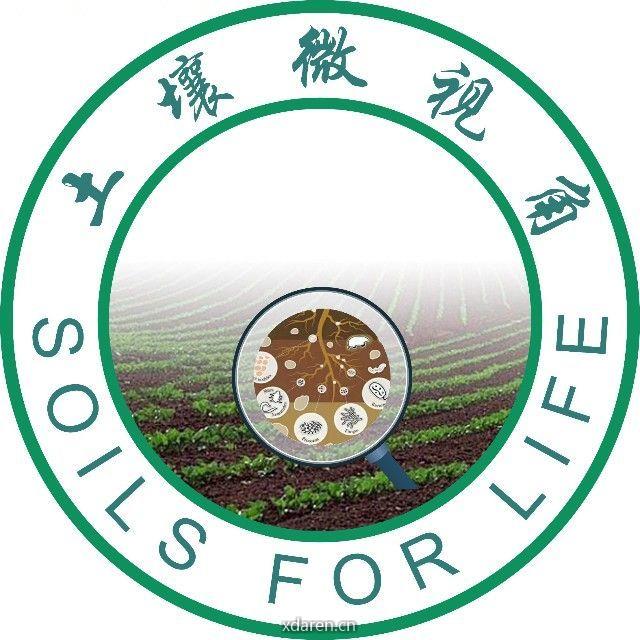 土壤微视角