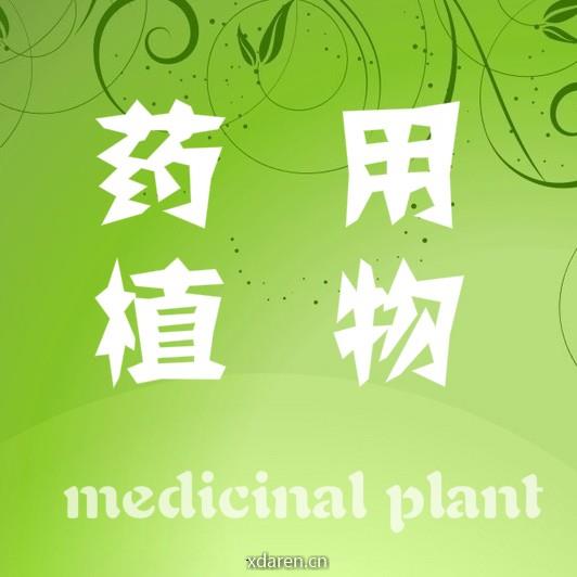 药用植物图鉴