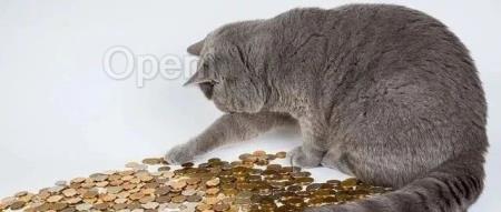 刚刚,Ilya 新公司融资 10 亿,员工仅 10 人:AGI 成功前,不发布任何产品