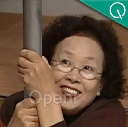 最高3倍无损提速!数学规划求解器效率升级,论文已中顶刊TPAMI | 中科大&华为诺亚