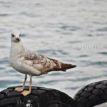 拒绝“零和”游戏!腾讯新一代混元 Turbo 降价 50%,RAG 方案支持快速定制 AI 应用