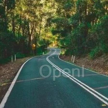 TensorRT-LLM保姆级教程(二)-离线环境搭建、模型量化及推理