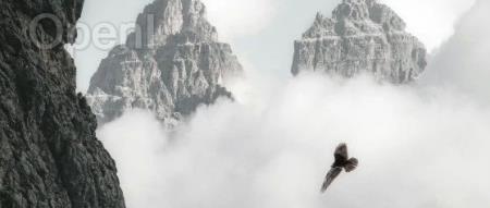 他山科技创始人马扬:触觉传感芯片是机器人必经之路