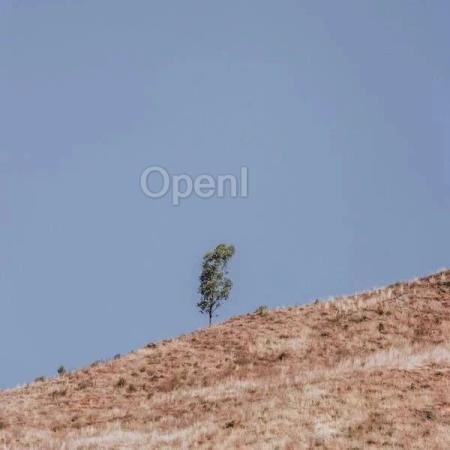 MiniMax 视频生成模型首秀!闫俊杰:大模型的研发核心是“快”