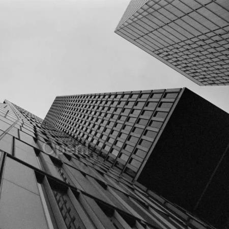 大模型会是一场泡沫吗？