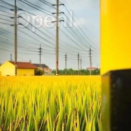 2024 上半年 AI 外呼 3 亿次,平安银行数字化驱动降本增效