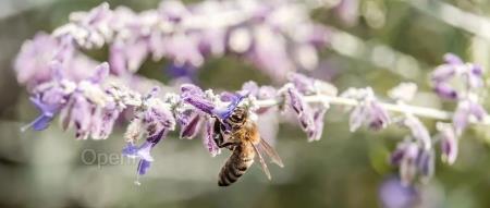 一口气发 100 个开源模型、主力模型再大降价!阿里:不然谈什么应用爆发?!