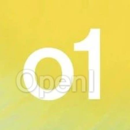 张俊林：o1本质是大模型掌握解题步骤，未来将迁移到GPT-5上