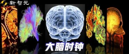 Nature子刊:AI模型测「大脑年龄」,究竟哪些因素会加速大脑衰老?