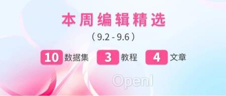 一键部署Phi 3.5 mini+vision!多模态阅读基准数据集MRR-Benchmark上线,含550个问答对