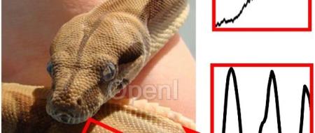 时序＝图像？无需微调，视觉MAE跨界比肩最强时序预测大模型