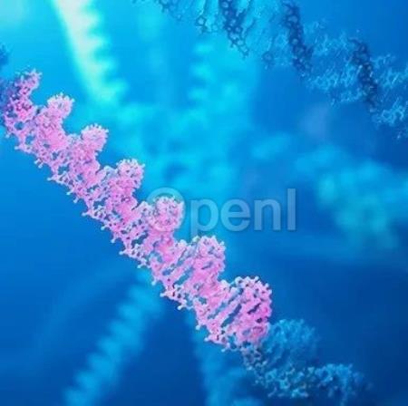 哪些器官老得特别快？《细胞》发现隐藏的衰老“推手”